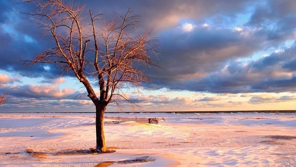 Мотивирует? Если тебе 6, и ты из бедной семьи, ты никогда не узнаешь, как это — делиться со всеми ...