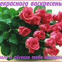 ���� ���������, ������ ��� - ��������� 2 ������� 2015 � ������ ����� ��������