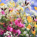 ���� ����������, ������ - ��������� 30 ���� 2015 � ������ ������ ��������