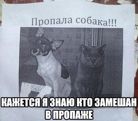  )