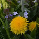 ���� ����, �������, 66 ��� - ��������� 27 ������ 2015 � ������ ������ 2015�