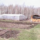 ������ �� ������� ���� ����������