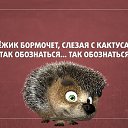 ���� �������, ������ - ��������� 20 ������� 2015 � ������ ������ ��������