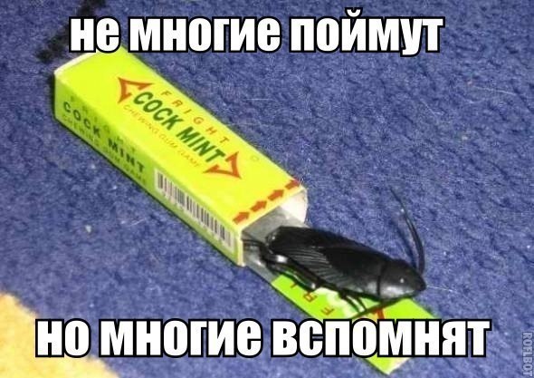   - 15  2015  23:15