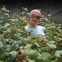 ���� �����, �������, 68 ��� - ��������� 20 ���� 2015 � ������ ������ ��������