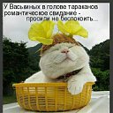 ���� �������, ������, 47 ��� - ��������� 22 ��� 2015 � ������ ������ ��������