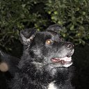 ���� �������, �����-���������, 54 ���� - ��������� 23 �������� 2015 � ������ ������� +������