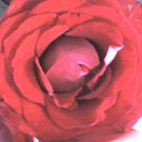 ���� �����, ����, 49 ��� - ��������� 11 ���� 2015 � ������ ������ ��������