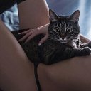 ���� �������, �����, 53 ���� - ��������� 9 ���� 2015 � ������ ������ ��������