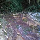 ���� ����, �����, 28 ��� - ��������� 10 ���� 2015 � ������ ����������� ���