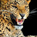  Elena....,  -  23  2015    