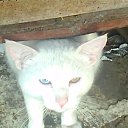 ���� ������, ��������, 50 ��� - ��������� 23 ���� 2015 � ������ ���� ����������