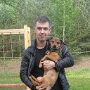 ���� ��������, ���������, 41 ��� - ��������� 1 ���� 2015 � ������ ���� ����������