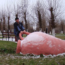 �������, ������������, 53 ����