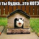 ���� ������, ���������, 49 ��� - ��������� 2 ���� 2015 � ������ ������ ��������
