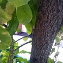 ���� �������, �����, 62 ���� - ��������� 10 ������� 2015 � ������ ��������� 2015�