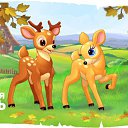 ���� ���������, ����������, 35 ��� - ��������� 16 �������� 2015 � ������ ������ ��������