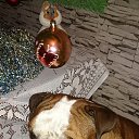 ���� Misha, �������, 41 ��� - ��������� 10 ���� 2015 � ������ ���� ����������