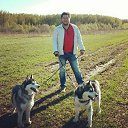 ���� ������, ������ �������� - ��������� 28 ��� 2015