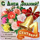 ���� �������, �������� - ��������� 1 �������� 2015 � ������ ������ ��������