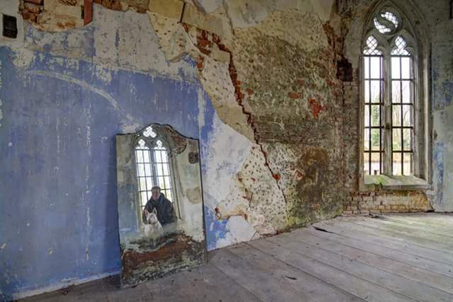 Английский бультерьер. - 26 мая 2015 в 09:17 - 2