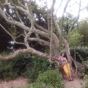 ���� ������, ������ - ��������� 8 ������� 2015 � ������ ����� 2015�