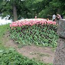 ���� ���������, �����-���������, 29 ��� - ��������� 7 ���� 2015 � ������ ������ ��������
