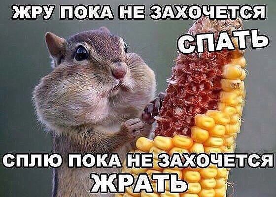   - 7  2015  18:18