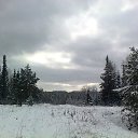 ���� ������, �����������, 61 ��� - ��������� 15 ���� 2015 � ������ ����� ������ ����� ������������ ������