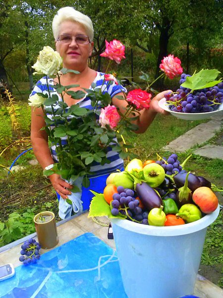 :    ... -  , 66 , 