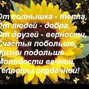 ���� �������, ������ - ��������� 23 ������� 2015 � ������ ������ ��������
