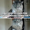 ���� ������, ������-��-����, 34 ���� - ��������� 7 ��� 2015 � ������ ������ ��������