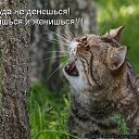 ���� �������, ��������������, 51 ��� - ��������� 4 �������� 2015 � ������ ������ ��������