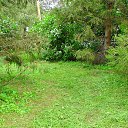 ���� ��������, ��������, 70 ��� - ��������� 4 ���� 2015 � ������ ������ ����