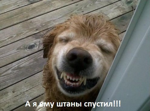 ���� - 24 ������ 2015 � 21:55