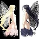 ���� �����, ����, 28 ��� - ��������� 25 ��� 2015