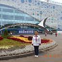 ���� �������, ������� - ��������� 8 �������� 2015 � ������ ���� ����������