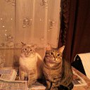 ���� ������, ������ - ��������� 30 ���� 2015 � ������ ���� ����������