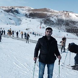 Ali, ����, 41 ���