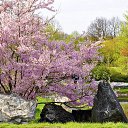 ���� ����, ������ - ��������� 19 ��� 2015 � ������ ���� ����� ��������