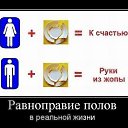 ���� ������, ��������, 41 ��� - ��������� 6 ���� 2015 � ������ ������ ��������