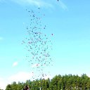 ���� ������, �����, 36 ��� - ��������� 28 ���� 2015 � ������ ������ ������ �����