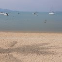    -  ,  -  4  2015    2014.  Ibis.  7-.