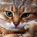  ,  , 70  -  12  2015    