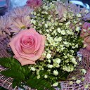 ���� Ann, ���������, 54 ���� - ��������� 29 ������ 2015 � ������ ���� ����������