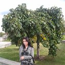 ���� �����, �����-���������, 46 ��� - ��������� 16 �������� 2015 � ������ ���� ����������