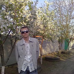 ���� Vellvelll, ������-��-����, 43 ���� - ��������� 12 ���� 2015