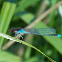 ���� �����, �����, 64 ���� - ��������� 9 ���� 2015 � ������ ����� ���� ���� (07.06.2015)�