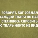 ���� ������, ������, 56 ��� - ��������� 11 ������� 2015 � ������ ������ ��������