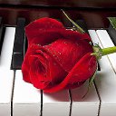 ���� �������, �������, 58 ��� - ��������� 5 ���� 2015 � ������ ������ ��������